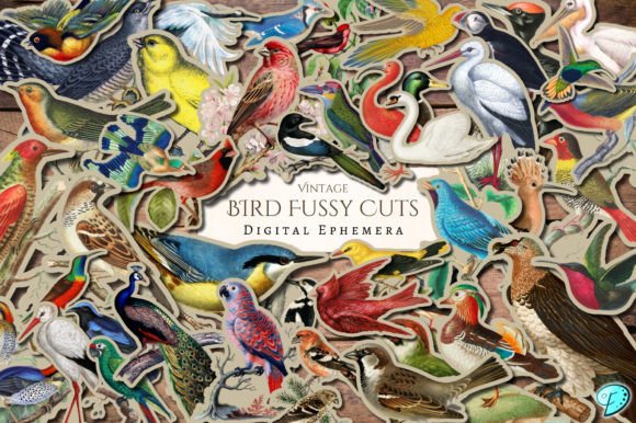Download Vintage Bird Fussy Cut Digital Ephemera - Ephemera Collection