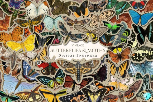 Download Vintage Butterflies and Moths Ephemera - Ephemera Collection